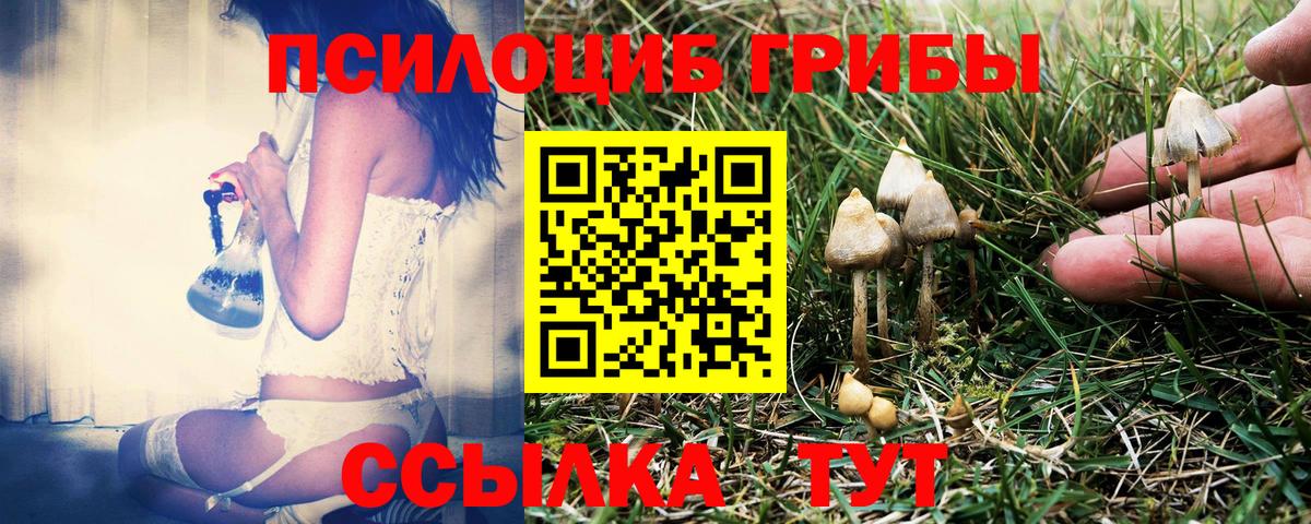 Феодосия  закладки  Вход с VPN  Галлюциногенные грибы мицелий 